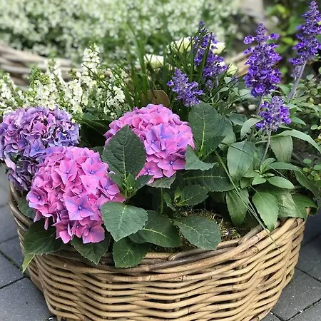 Schlei Fjord Light *