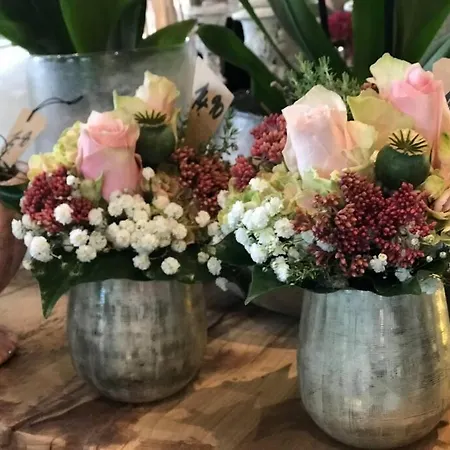 Schlei Fjord Light *